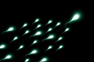 Sperm with black background